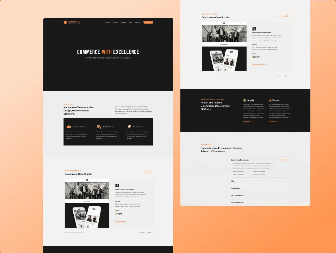 Setubridge Technolabs Hero Image 01